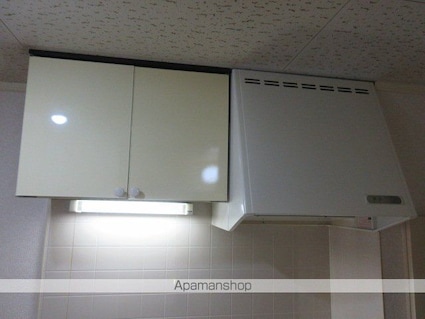 ドルフィン[1K/19.87m2]の内装3