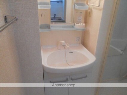 サンモール柴又[1K/22.77m2]の洗面所