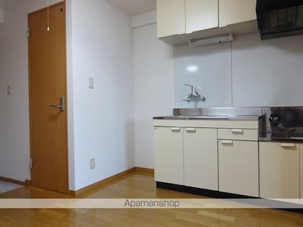 ヴィラ鯉ノ丸　Ⅱ[2DK/40m2]のキッチン