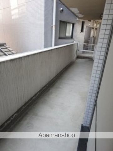 アメニクスのその他写真