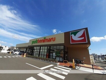 ウェスリー[1K/29.81m2]の周辺2