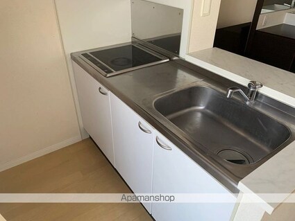 レオネクストグリーンガーデン[1R/26.5m2]のキッチン