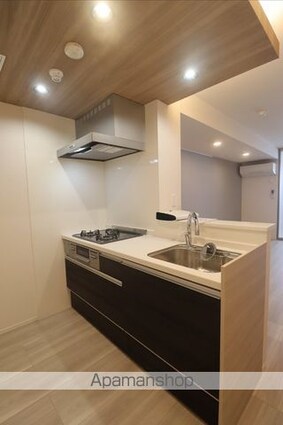 セレスティア小豆沢[1LDK/41.77m2]のキッチン