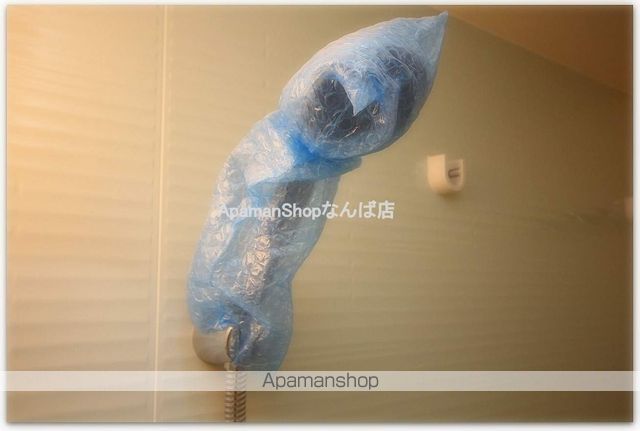 ジアコスモ難波南の内装写真