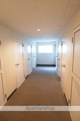 クリサンテームのその他写真