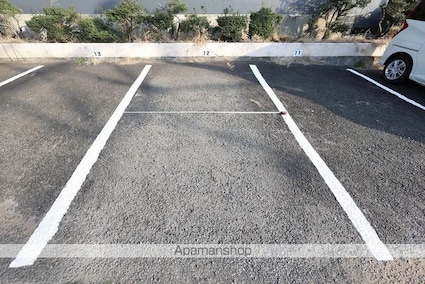 Ｍａｉｓｏｎ　Ｓａｋａｅ[3DK/53m2]の駐車場1