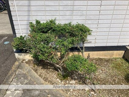 レオパレスＣＯＺＹーＹＡＮＡＩＺＵ[1K/23.18m2]の庭