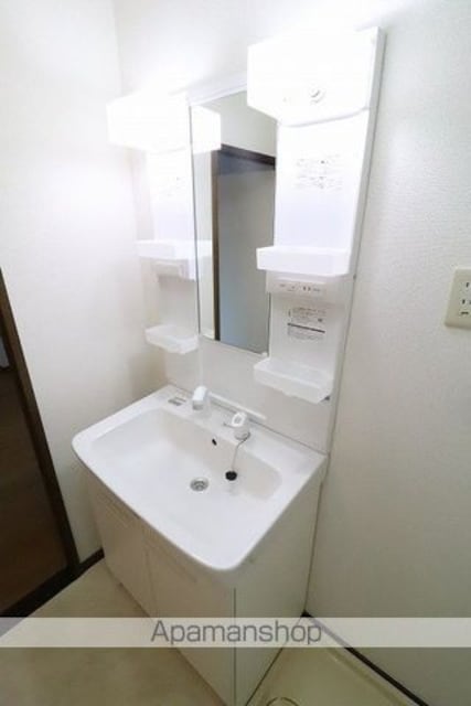 マンションウェルズ[3SDK/56m2]の洗面所