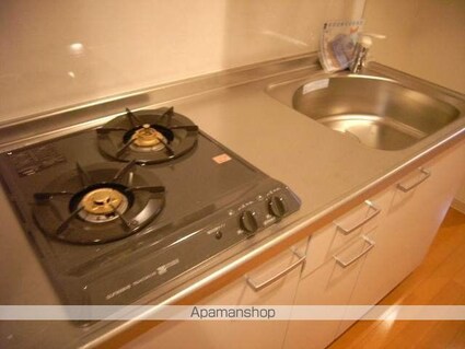 ニューボンデージ[1K/27.46m2]のキッチン