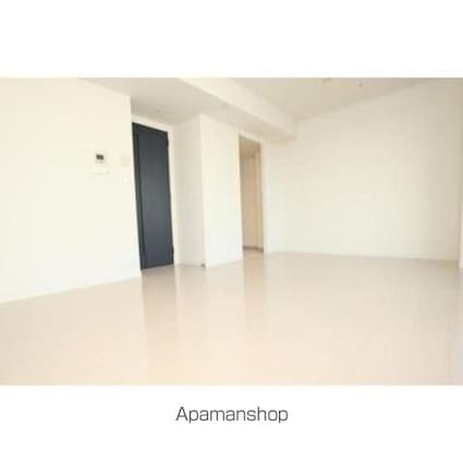 パークアクシス日本橋ステージ[1LDK/45.49m2]のその他内装2