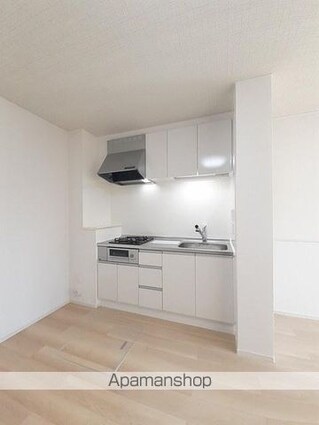 グラットシエル[1LDK/43.61m2]のキッチン