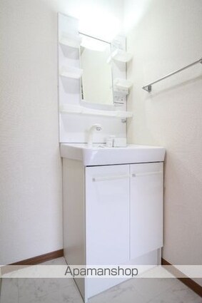 コージーコート[3DK/67.4m2]の洗面所