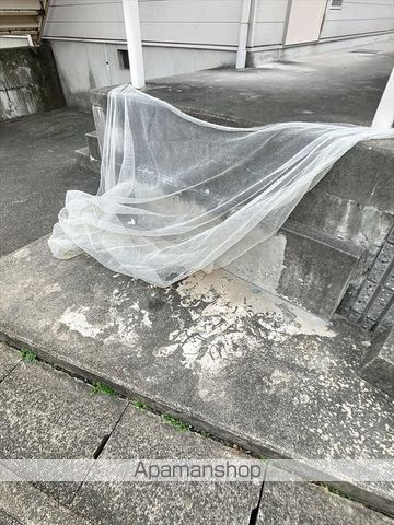 NEWS1のその他写真