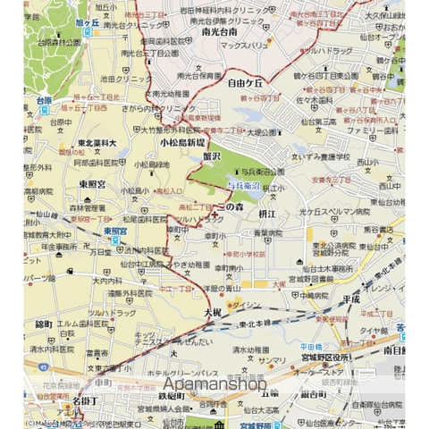 ツインフォレストの周辺写真