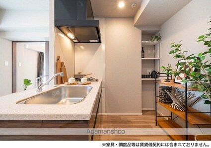 ルフォンプログレ千代田御茶ノ水[1LDK/40.87m2]のキッチン