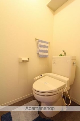 パインテイル　Ａ・Ｂ・Ｃ・Ｄ棟[2LDK/58.54m2]のトイレ