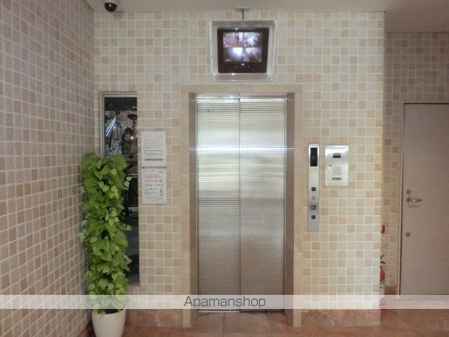 サヴォイエイペックスのその他写真