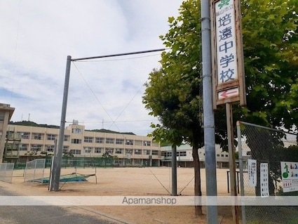 モデルノ[2LDK/55.84m2]の周辺3