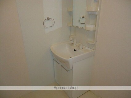 プティシャン　ＩＩ[2LDK/63.62m2]の洗面所