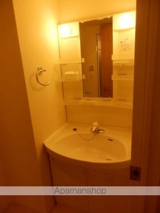 パークアクシス錦糸町[2DK/45.08m2]の洗面所