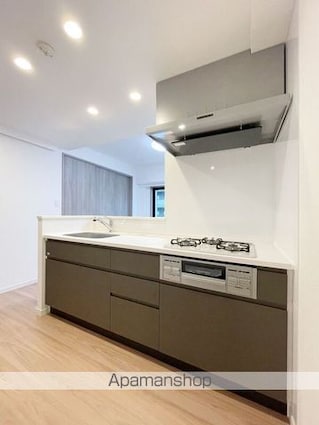 東京都板橋区熊野町[1SLDK/47.5m2]のキッチン