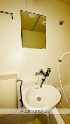 テェイルスクウェア[1R/17.5m2]の洗面所