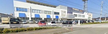 サニーメゾン撫子５０１Ａ[2LDK/58.86m2]の周辺3