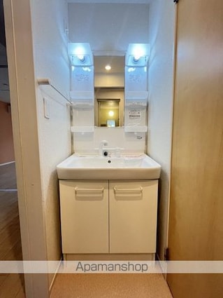 パレ・エクセランⅤ[2DK/46.06m2]の洗面所