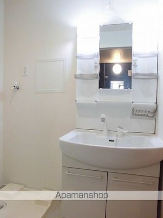 ラッフィナート・ドゥーエ[1LDK/46.28m2]の洗面所