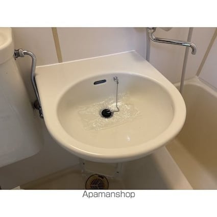 サンロイヤル武蔵野[1R/17m2]の洗面所