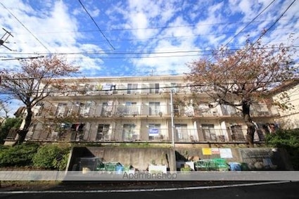 ハイツ椎の木[1R/17m2]の外観1