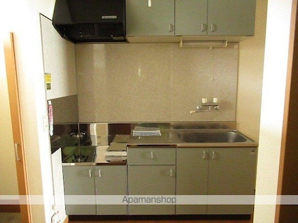 ジョイフル月が丘[2K/36.43m2]のキッチン