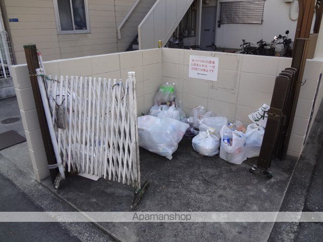 タウニーモリイのその他写真