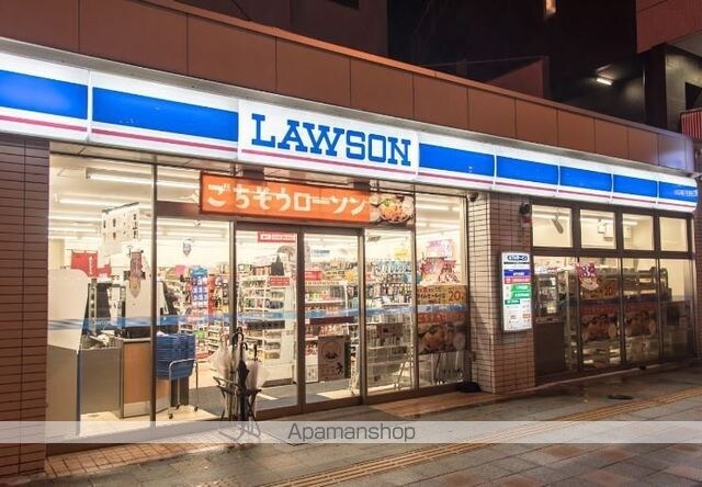 ラフィスタ錦糸町Ⅱ[1K/26.59m2]の周辺8