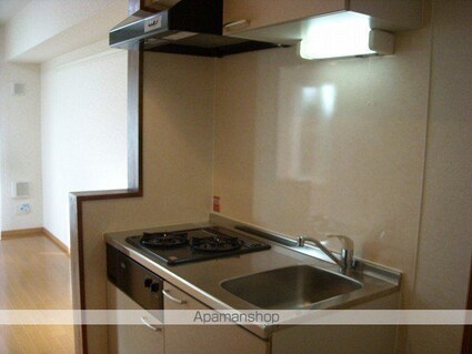 カーサ・プラシード[1R/25.25m2]のキッチン