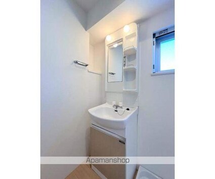 レジス飛鳥山公園[1LDK/45.76m2]の洗面所