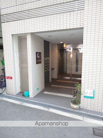 シーラビフォリアのその他写真