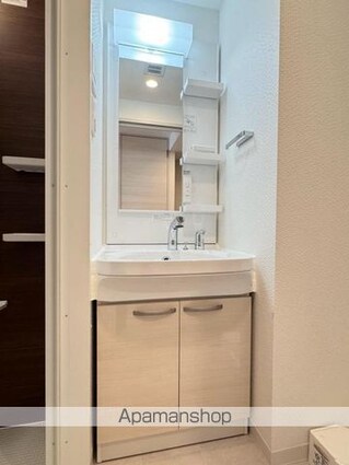 ＳーＲＥＳＩＤＥＮＣＥ中新町ａｖｅｌｉｓ[1K/29.04m2]の洗面所