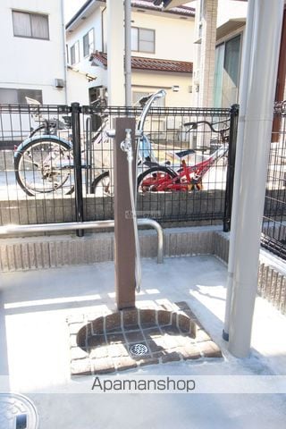 フェニックスのその他写真