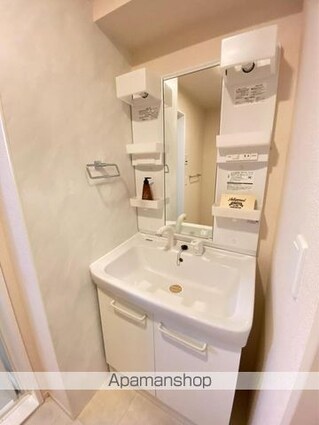 サンリット・ＭⅢ[2LDK/64.91m2]の洗面所