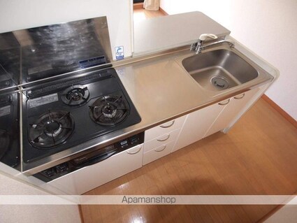 レオパレスパークハイム[2DK/49.2m2]のキッチン