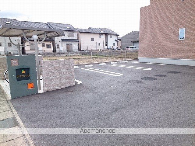 アプリコットのその他写真