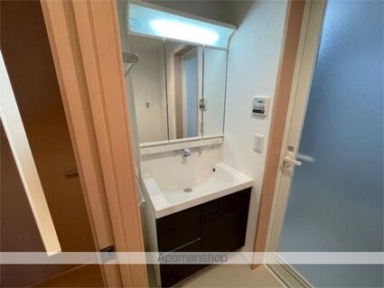 シーズンステージ喜多見Ａ棟[1LDK/45.75m2]の洗面所