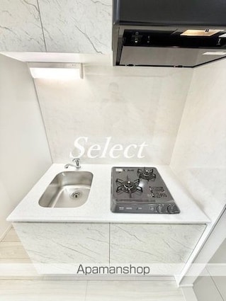 ＧＥＮＯＶＩＡ西横浜[1K/21.48m2]のキッチン