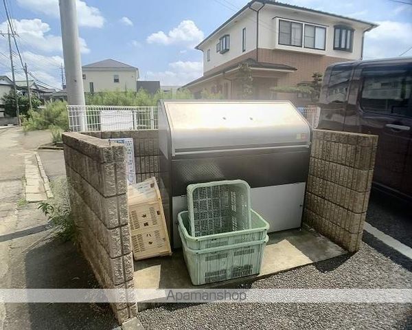 プリムローズのその他写真