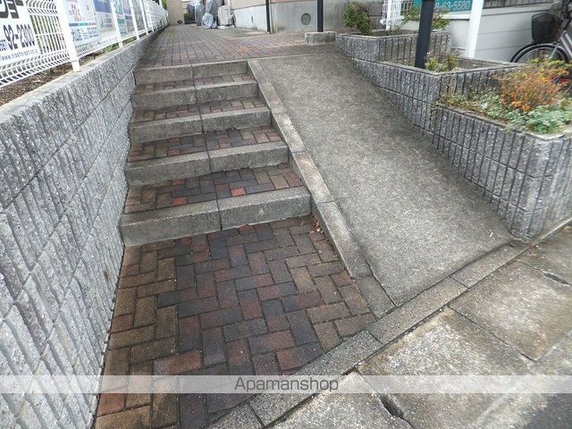 フェニックスのその他写真