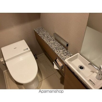 ミッドガーデン赤坂氷川[1SLDK/80.26m2]のその他内装5