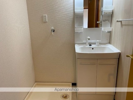 アウスピオーリ[3LDK/71.2m2]の洗面所