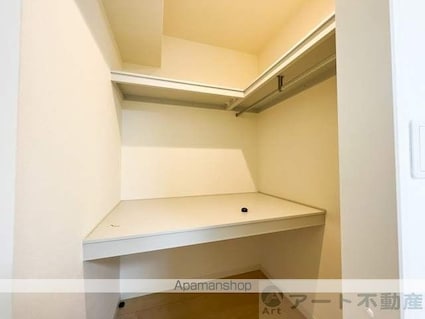 ラフィナス[1LDK/49.29m2]の収納