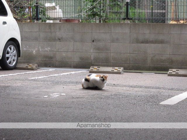 リム朋栄のその他写真